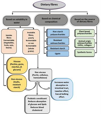 Properties and physiological effects of dietary fiber-enriched meat products: a review